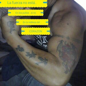 Meet your Posher, Gitanoxs